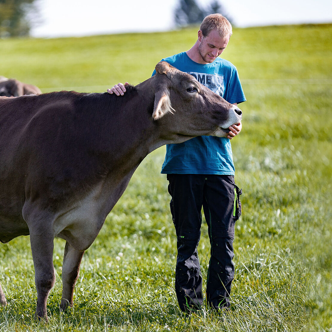 Milchbauer mit Kuh